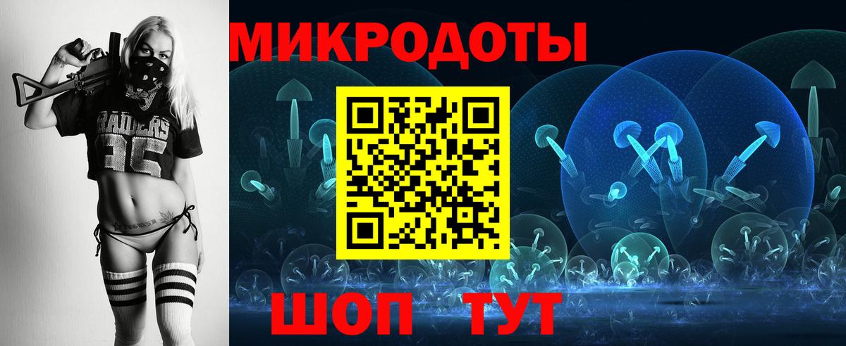 Галлюциногенные грибы Psilocybe Анжеро-Судженск