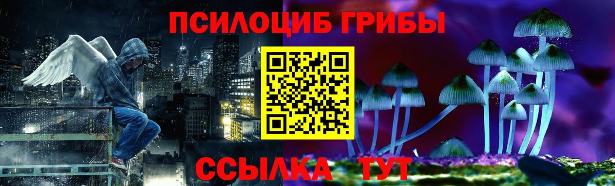 магазин    Псилоцибиновые грибы Magic Shrooms  Вход с VPN  Анжеро-Судженск 